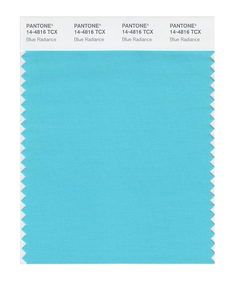 新品同様　PANTONE SOLID CHIPS Uncoated PANTONE® USA | Solid Chips Supplement | Coated & Uncoated
